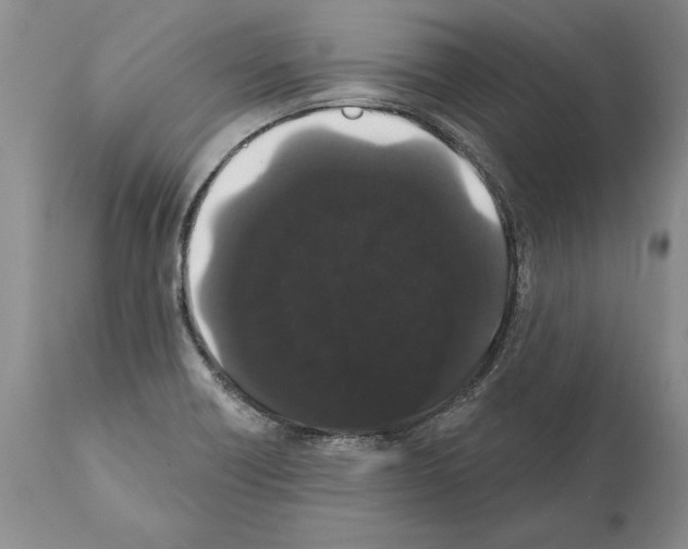 X0000112001418200909141050