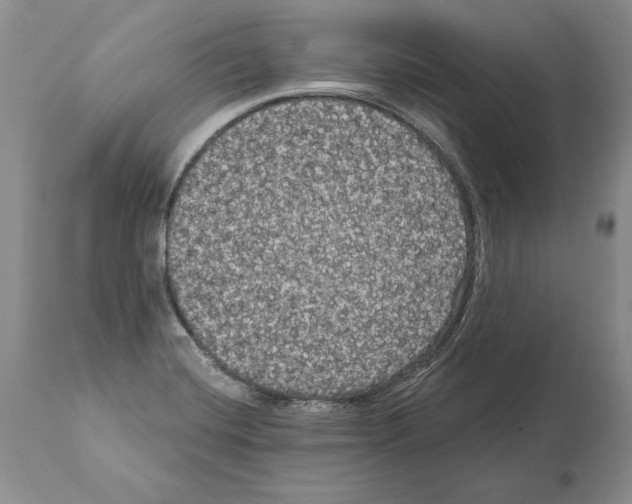 X0000112001420200909141050