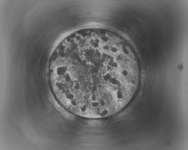 X0000112001421200909141050