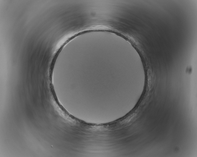 X0000112001422200909141050