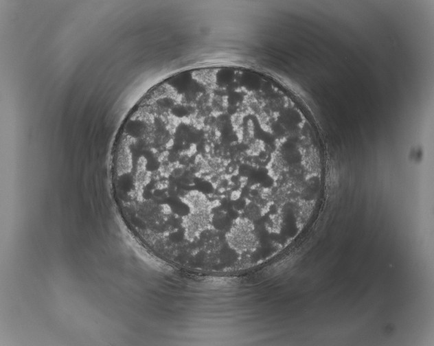 X0000112001423200909141050