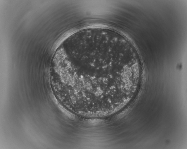 X0000112001425200909141050