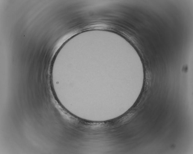 X0000112001426200909141050