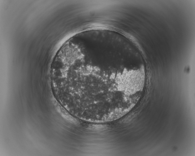 X0000112001427200909141050