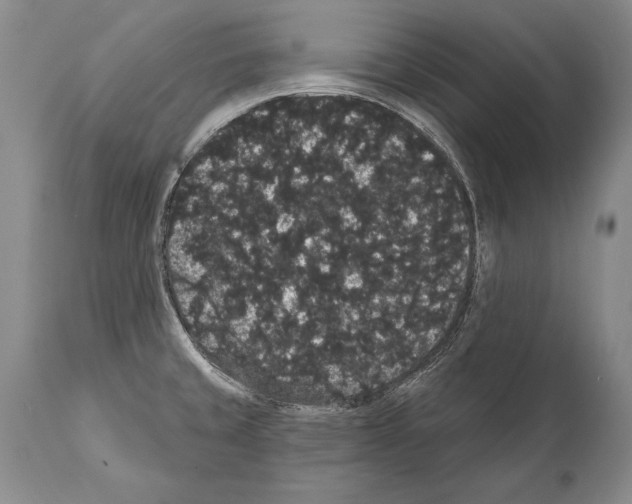 X0000112001429200909141050