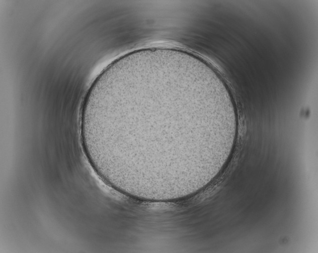 X0000112001430200909141050