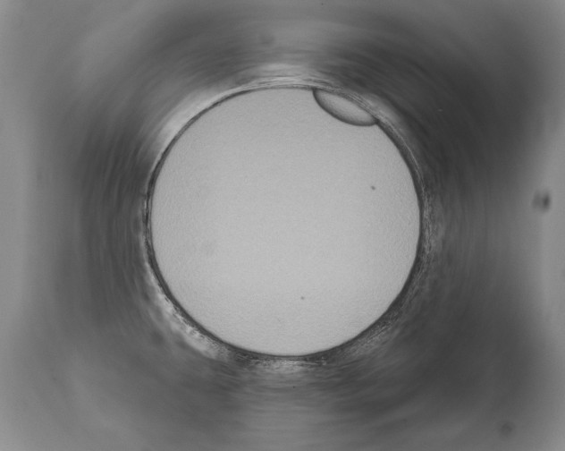 X0000112001431200909141050