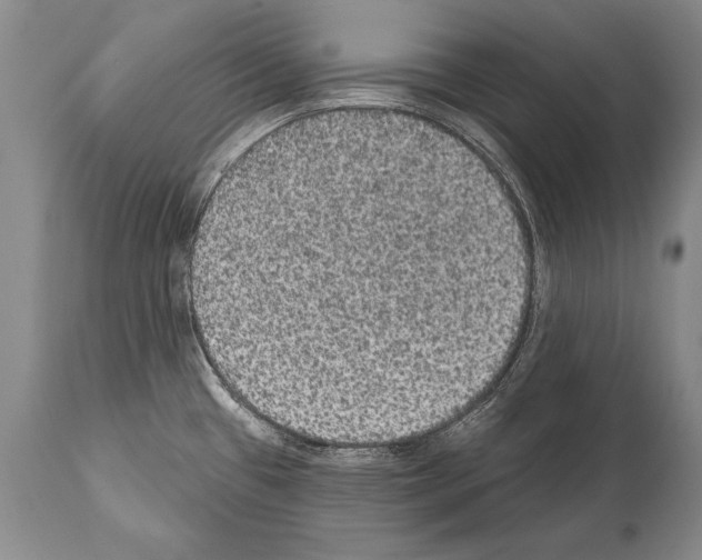 X0000112001433200909141050