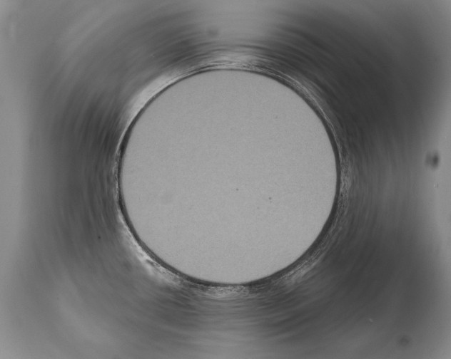 X0000112001434200909141050