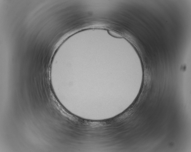 X0000112001436200909141050