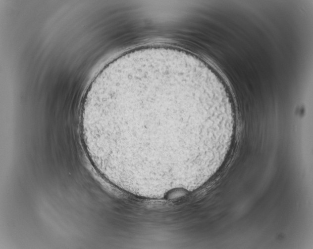 X0000112001437200909141051