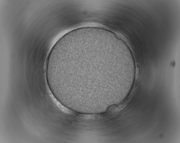 X0000112001438200909141051