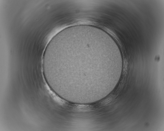 X0000112001439200909141051