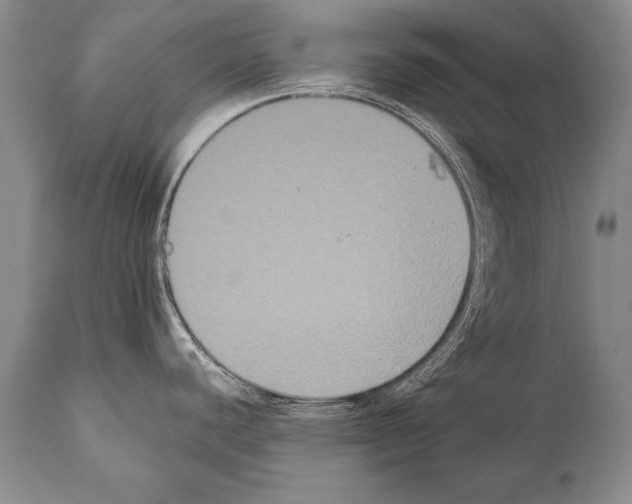 X0000112001440200909141051