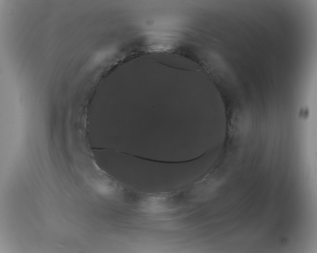 X0000112001441200909141050