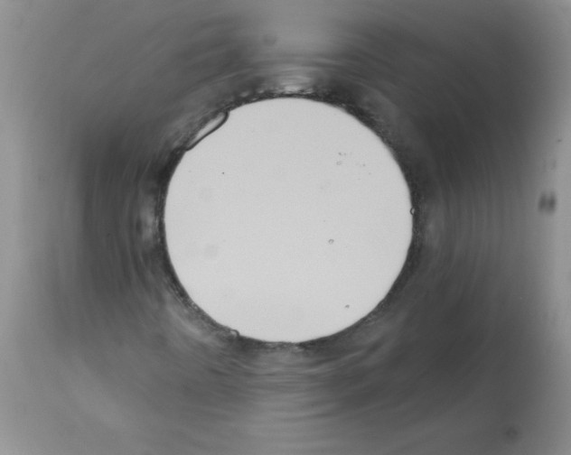 X0000112001442200909141050