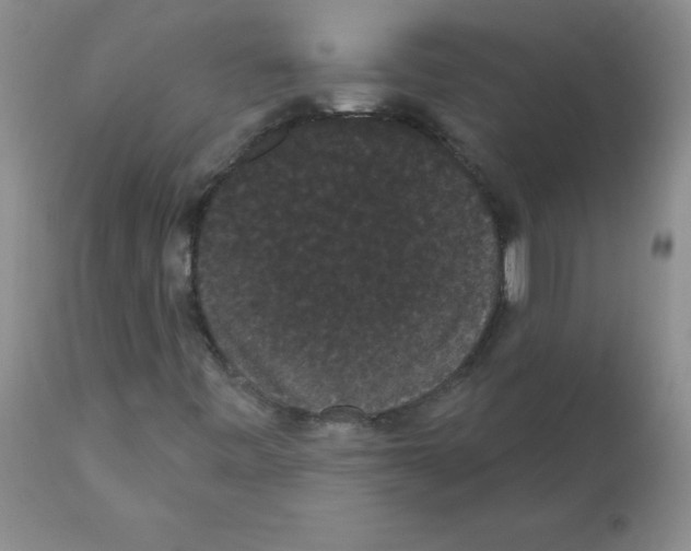 X0000112001443200909141050