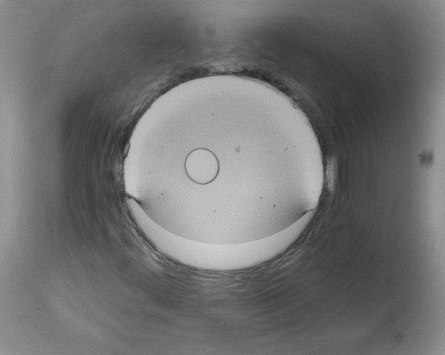 X0000112001444200909141050