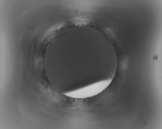 X0000112001445200909141050