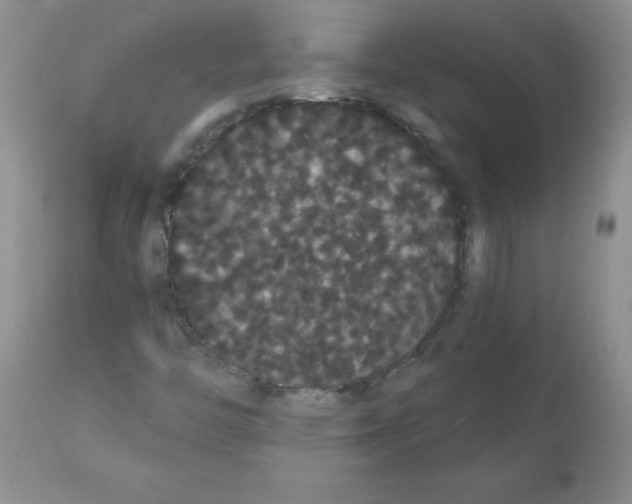 X0000112001446200909141050