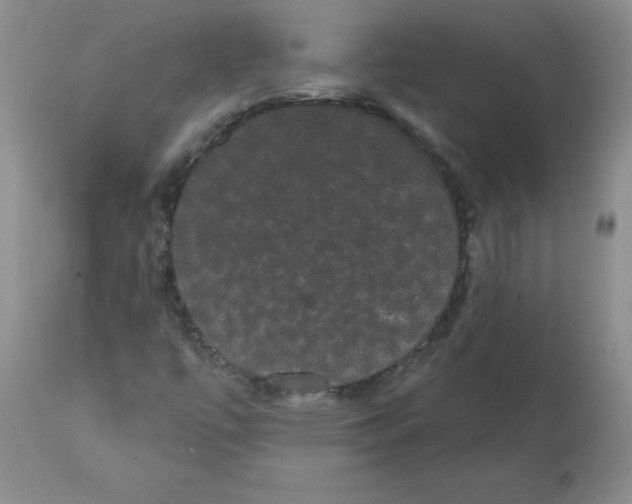 X0000112001447200909141050