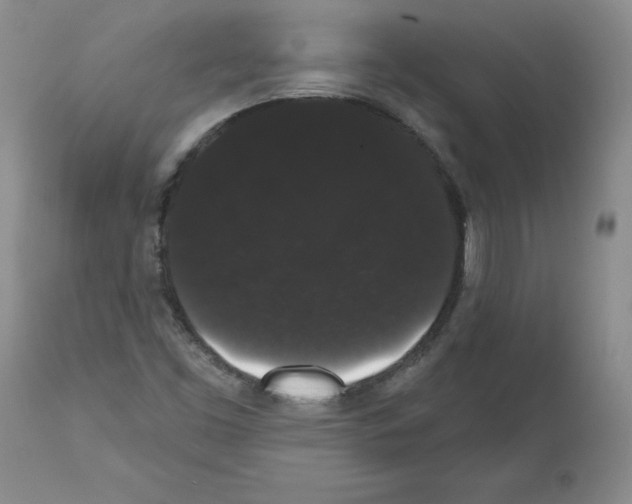 X0000112001453200909141050