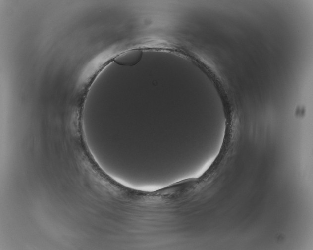 X0000112001455200909141049