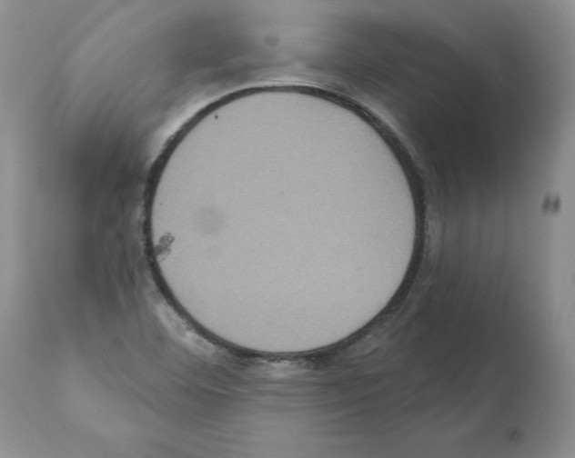 X0000112001460200909141049