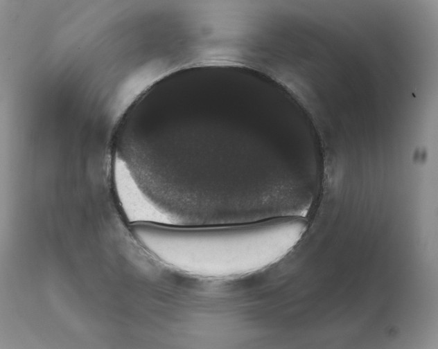 X0000112001461200909141049