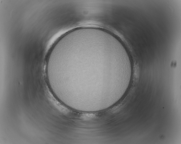 X0000112001462200909141049