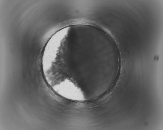 X0000112001463200909141049