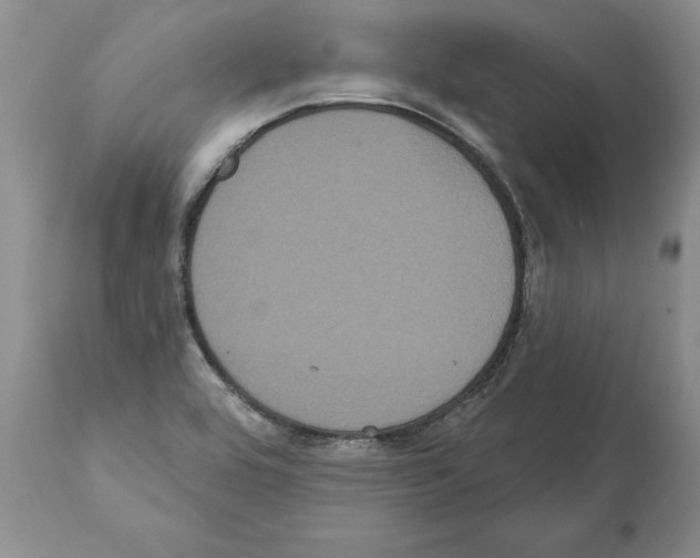 X0000112001464200909141049