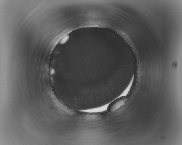 X0000112001465200909141049