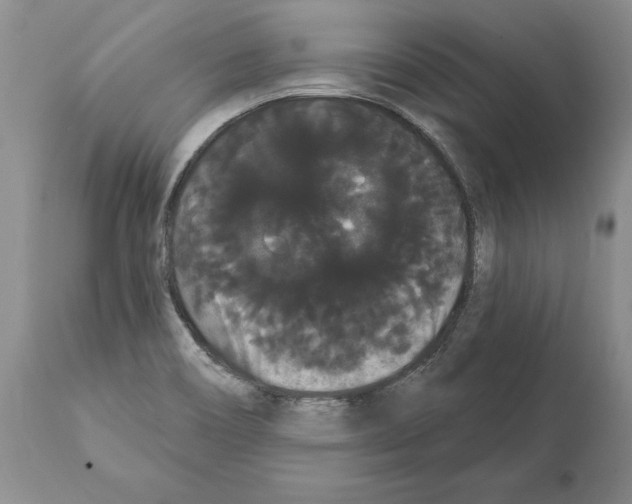 X0000112001466200909141049