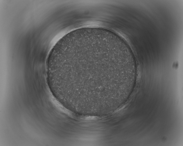 X0000112001467200909141049