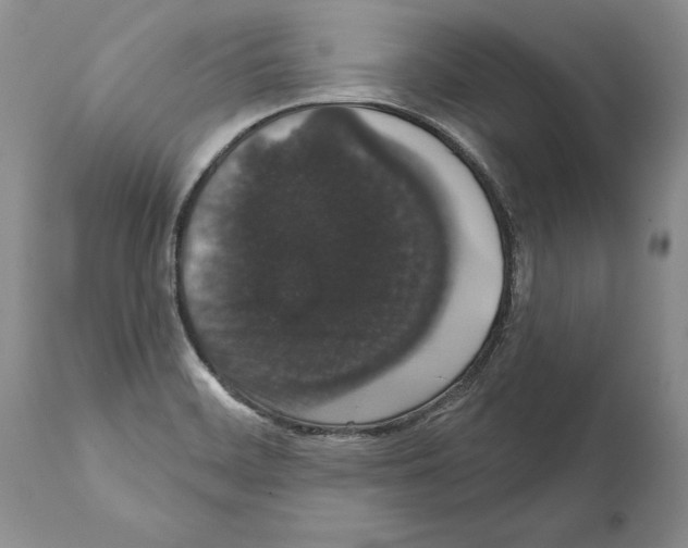 X0000112001468200909141049