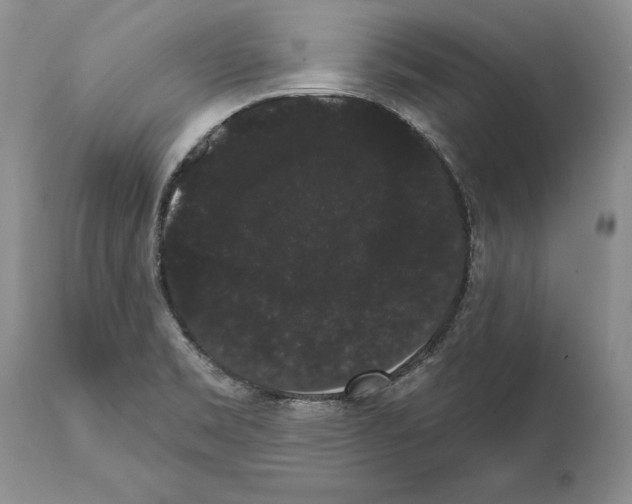 X0000112001469200909141049