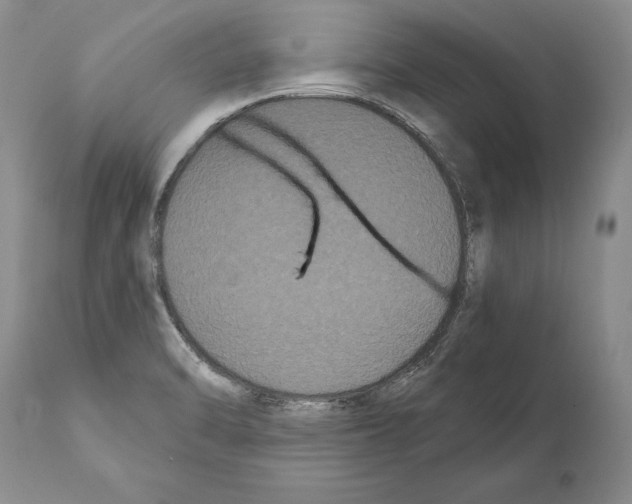 X0000112001470200909141049