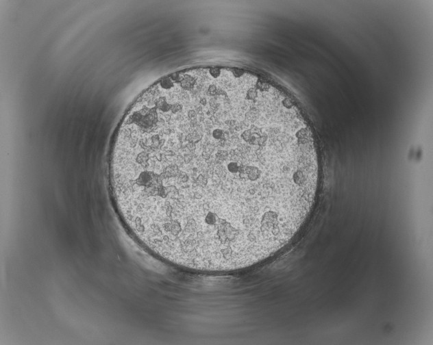 X0000112001471200909141049