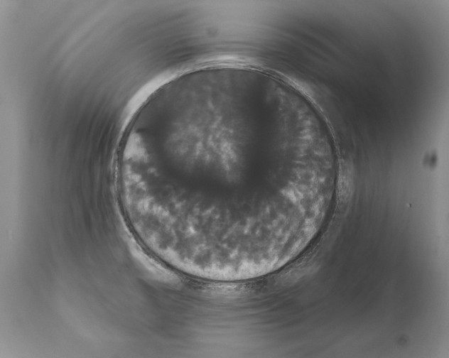 X0000112001474200909141049