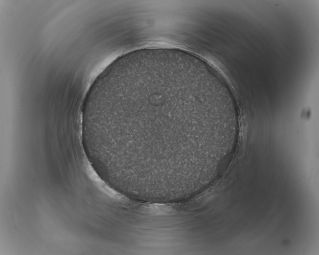 X0000112001476200909141049