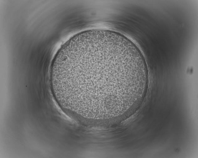 X0000112001477200909141049