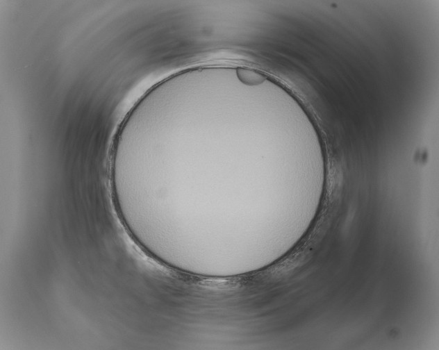 X0000112001478200909141049