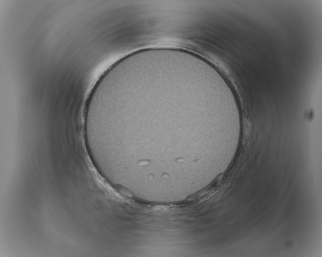 X0000112001480200909141049