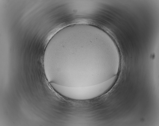 X0000112001481200909141049