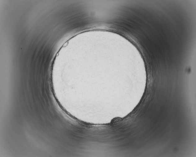 X0000112001483200909141049