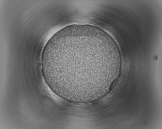 X0000112001485200909141049