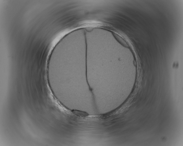 X0000112001488200909141049