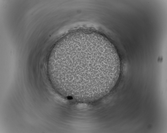 X0000112001489200909141048