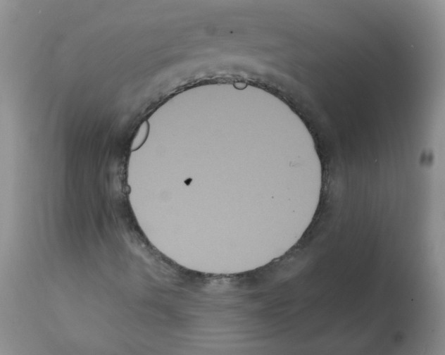 X0000112001490200909141048